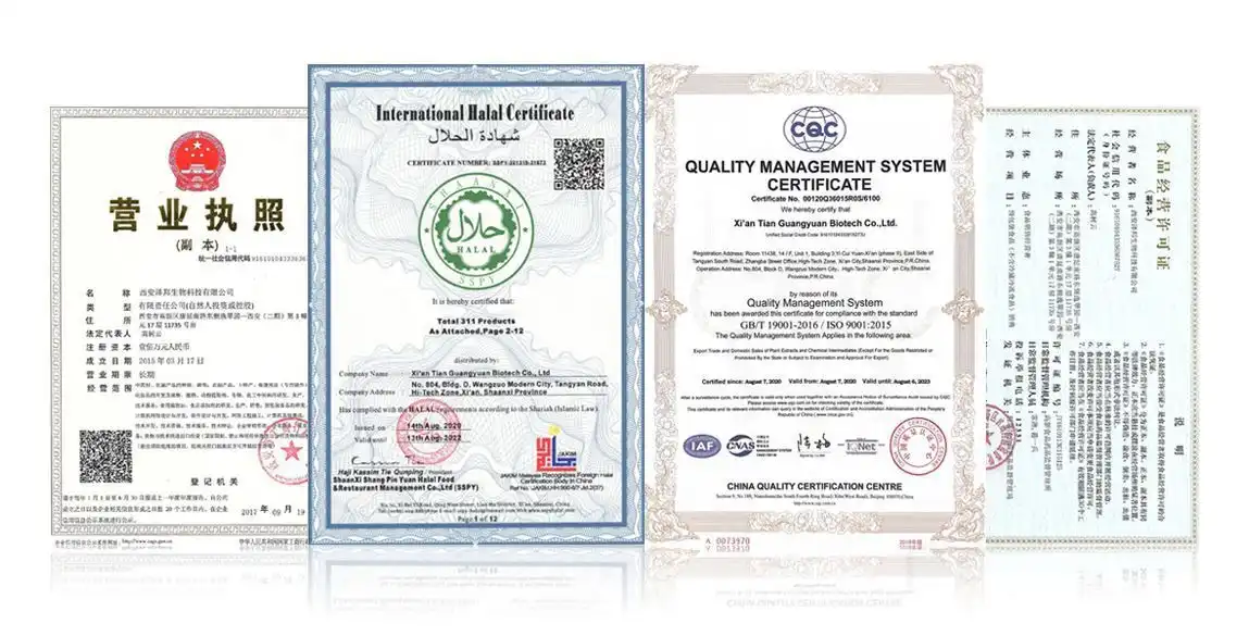 Nosso Certificado.jpg