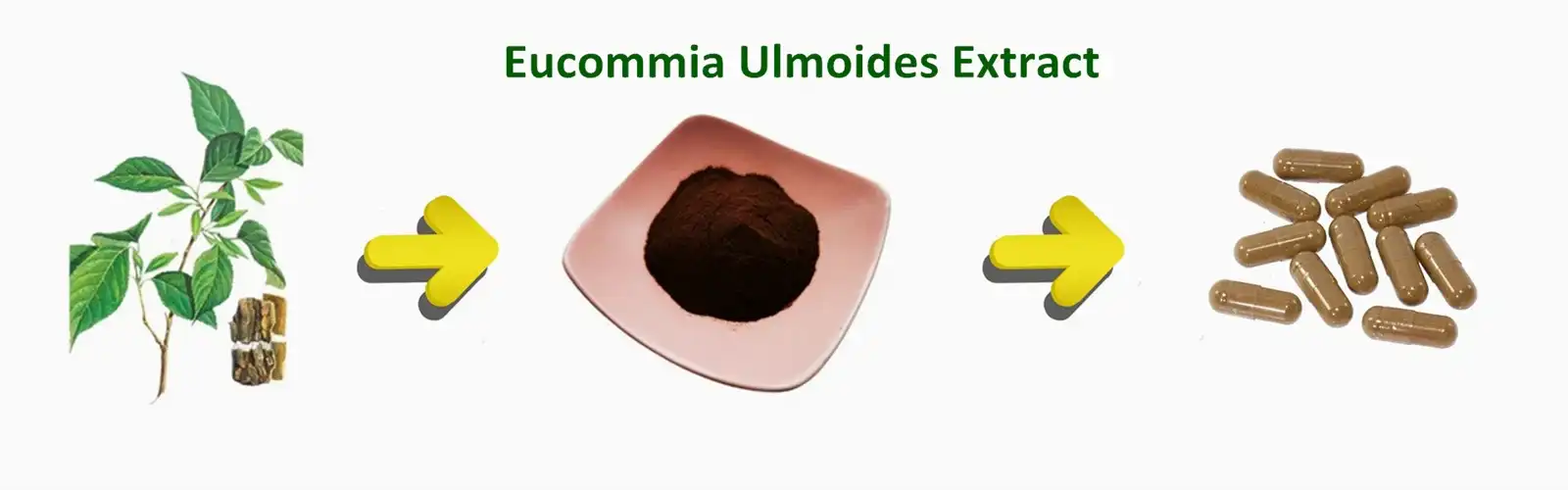 product-1-1 product-1-1