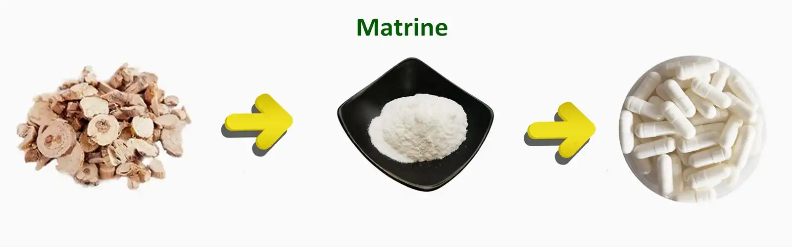Matrine Powder Matrine Powder