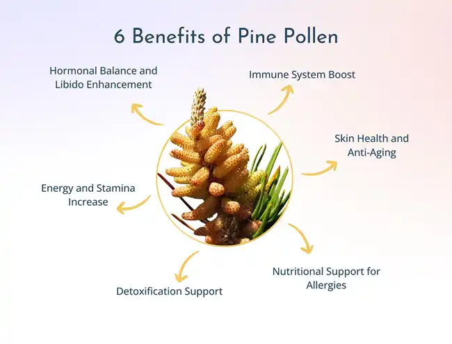 Broken wall pine pollen powder Broken wall pine pollen powder