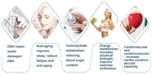 nmn supplier nmn supplier