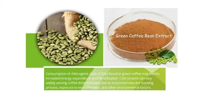 chlorogenic acid 98% chlorogenic acid 98%