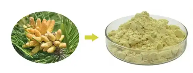 Pine Pollen powder Pine Pollen powder