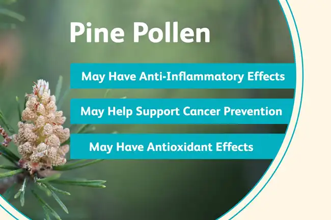 Pine Pollen powder benefits Pine Pollen powder benefits