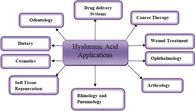 hyaluronic acid application hyaluronic acid application