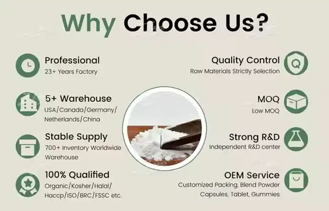 Hyaluronic Acid Powder Hyaluronic Acid Powder