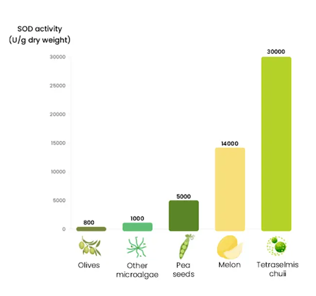 source of Superoxide Dismutase source of Superoxide Dismutase
