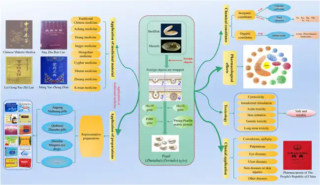 Hydrolyzed Pearl Powder application Hydrolyzed Pearl Powder application