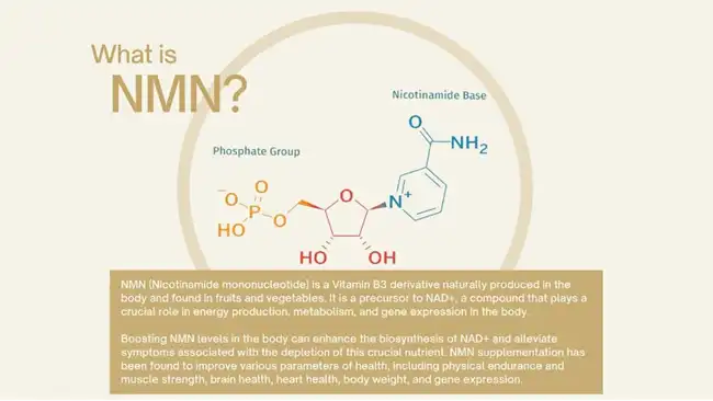 what is nmn what is nmn