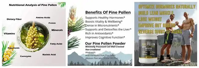 Pine Pollen powder Pine Pollen powder
