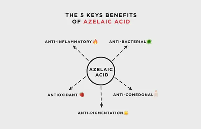 azelaic acid benefits azelaic acid benefits