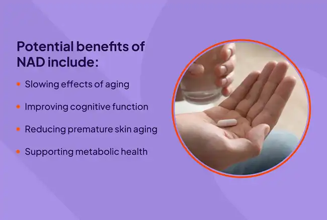 Nicotinamide Powder benefits Nicotinamide Powder benefits