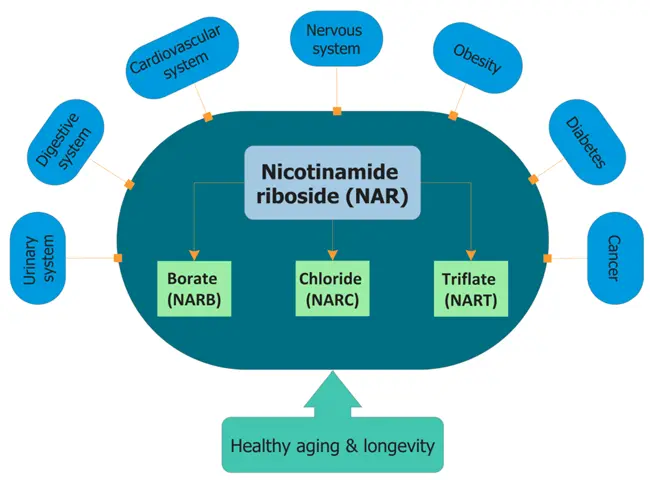 Nicotinamide Nicotinamide