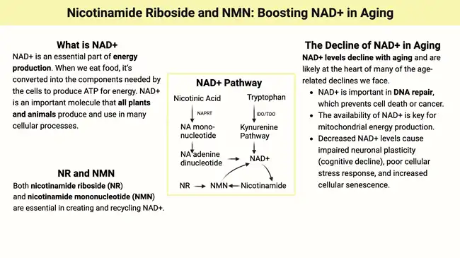 Nicotinamide Nicotinamide