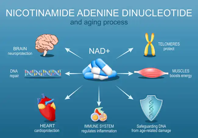 Nicotinamide for skin Nicotinamide for skin