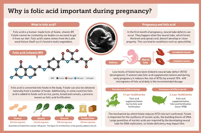 Folic acid powder Folic acid powder