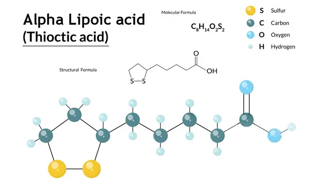 alpha lipoic acid alpha lipoic acid