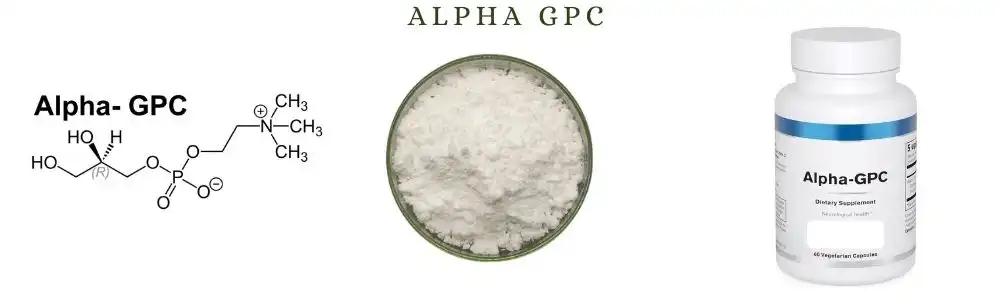Alpha GPC Powder Alpha GPC Powder