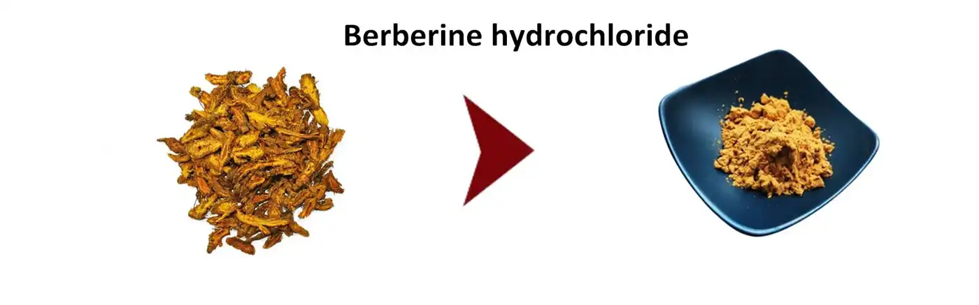 Berberine Hydrochloride Berberine Hydrochloride