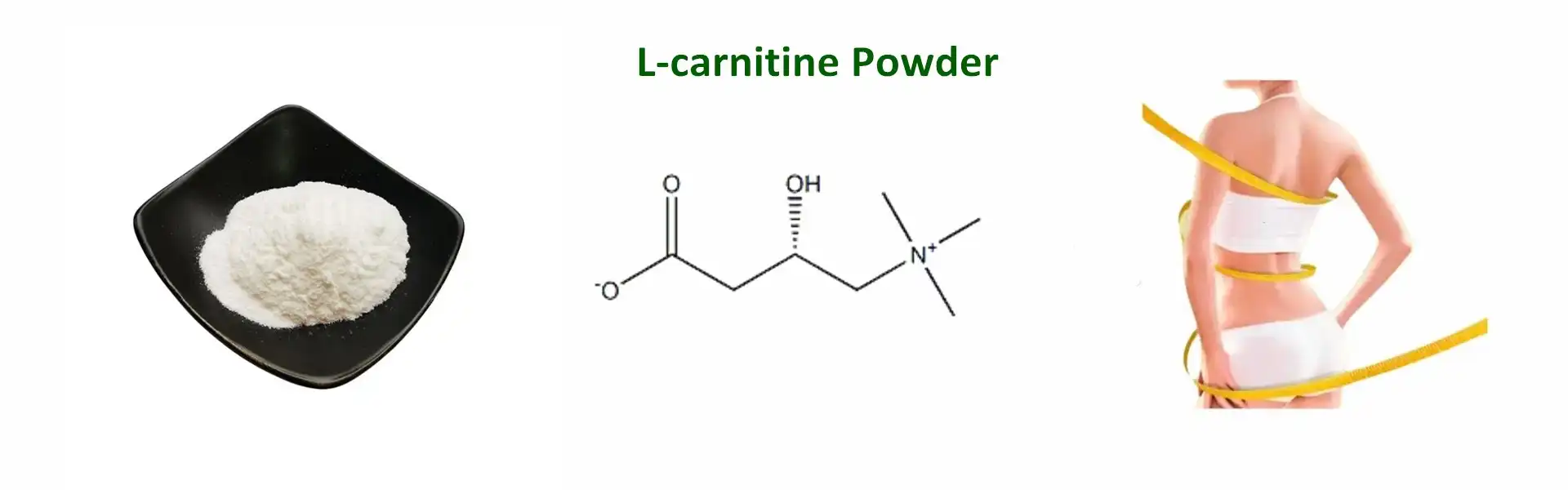 L-Carnitine L-Carnitine