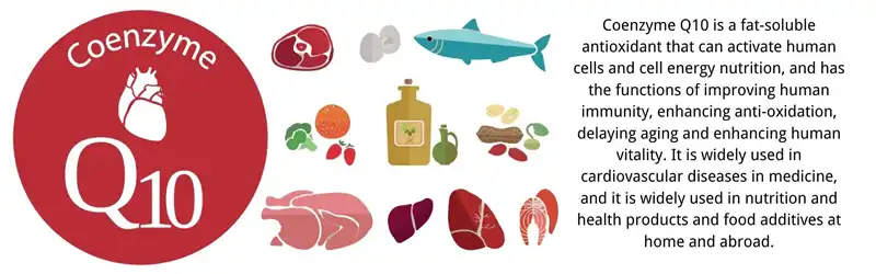 coenzyme q10