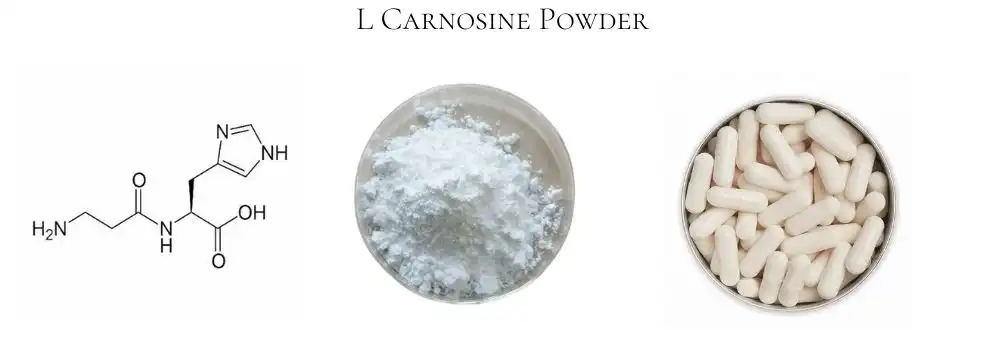 L Carnosine L Carnosine