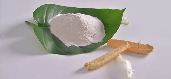 chitosan Powder