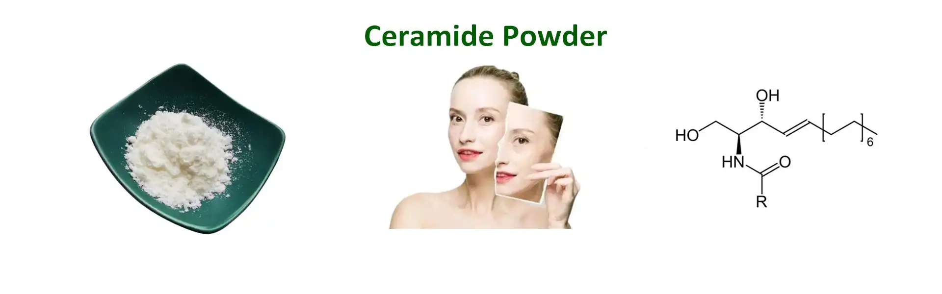 Ceramide Powder Ceramide Powder