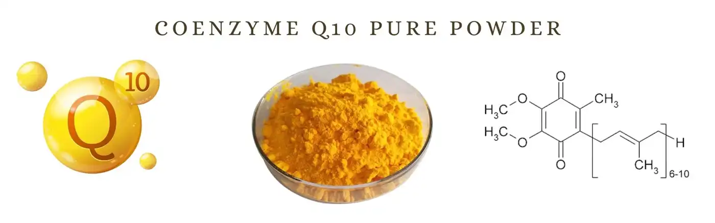 coenzyme q10 powder coenzyme q10 powder