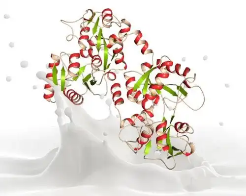 Lactoferrin Lactoferrin