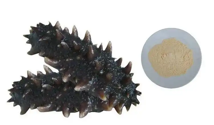 Sea cucumber peptide Powder Sea cucumber peptide Powder