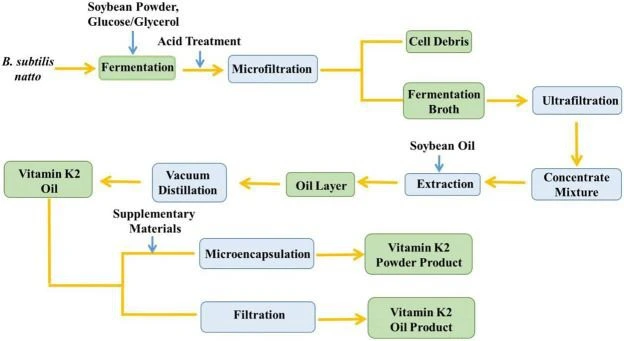vitamin K2 MK-7 vitamin K2 MK-7