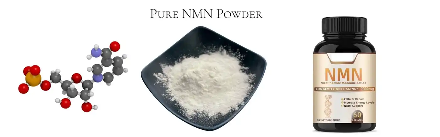 nmn powde