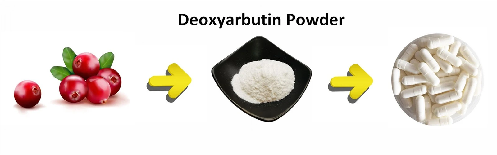 Deoxyarbutin Powder Deoxyarbutin Powder