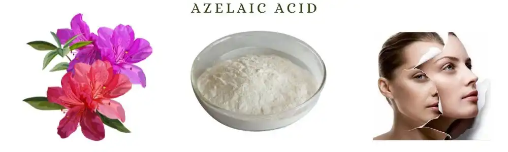 Azelaic acid powder