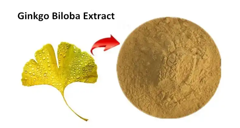 Ginkgo biloba extract Ginkgo biloba extract