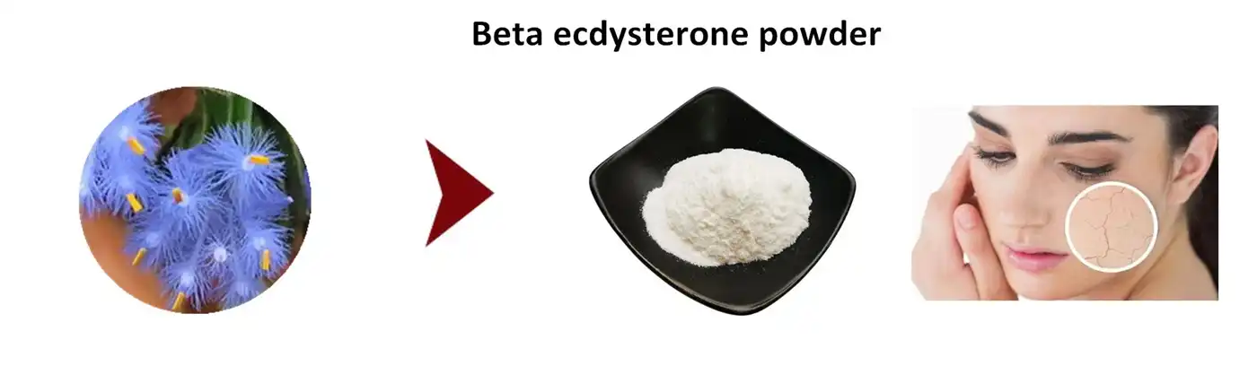 product-1-1 product-1-1