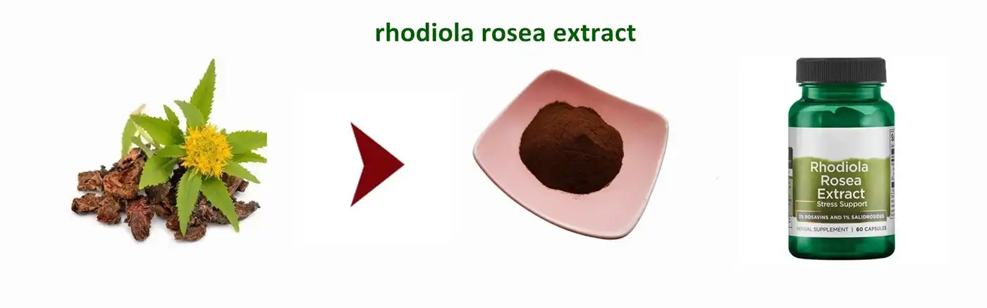 Rhodiola Rosea Extract Powder Rhodiola Rosea Extract Powder
