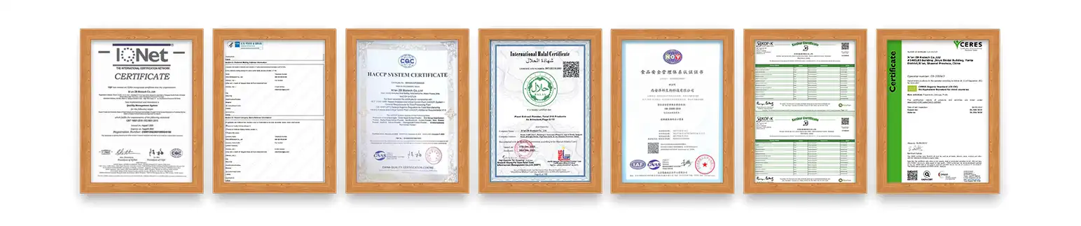 fucoidan powder SUPPLIER