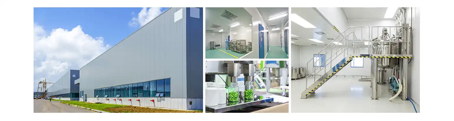fucoidan powder FACTORY