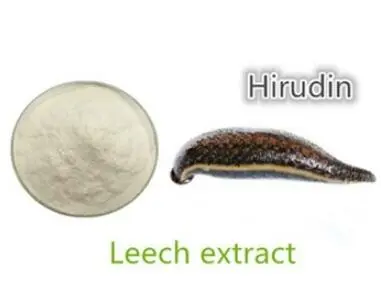 Hirudin powder
