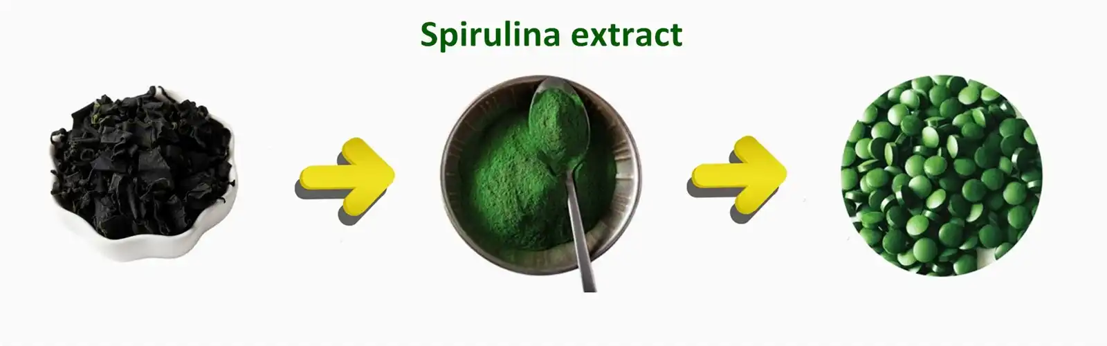 Spirulina Extract powder Spirulina Extract powder