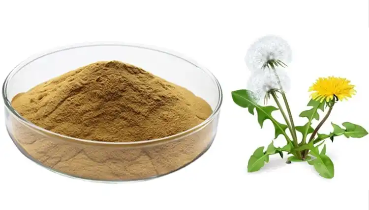 Dandelion Extract
