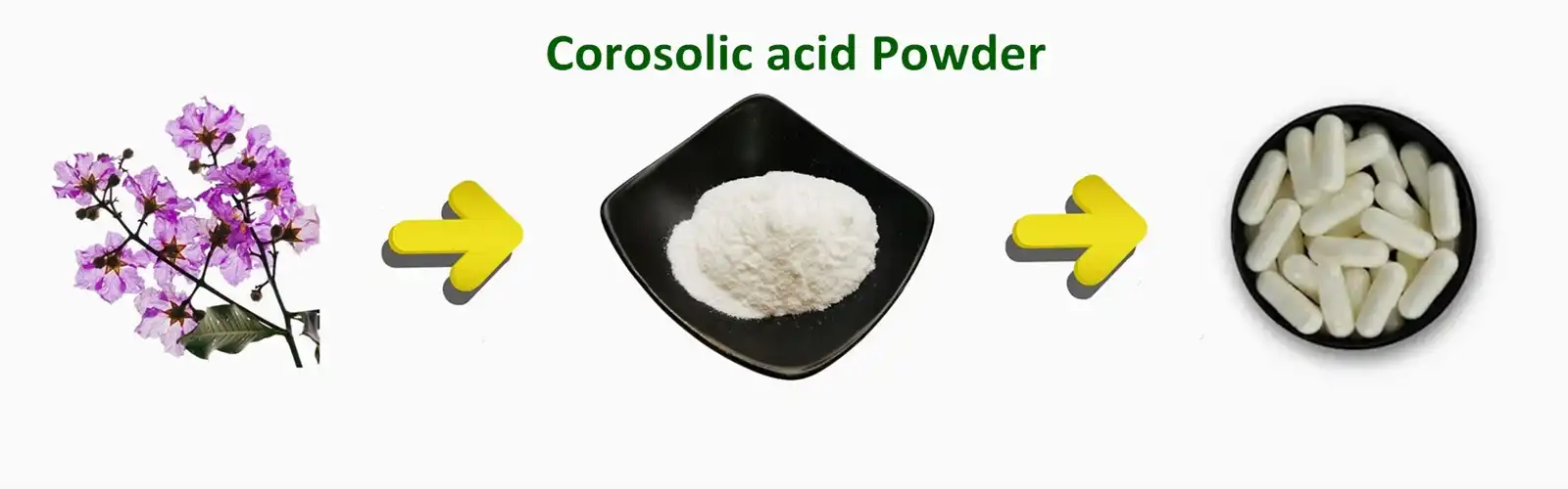 Corosoic acid Powder Corosoic acid Powder