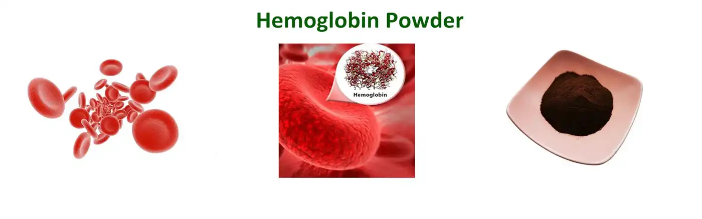 Hemoglobin Powder
