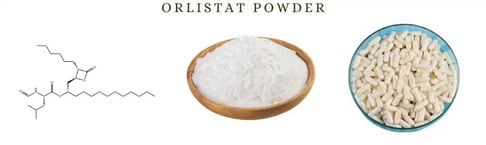 Orlistat Powder Orlistat Powder
