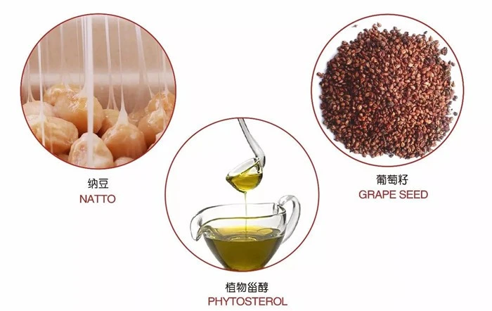 phytosterol powder