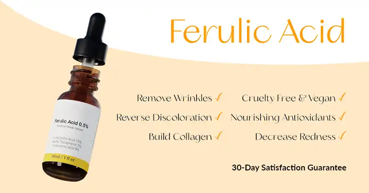 Ferulic Acid powder benefits
