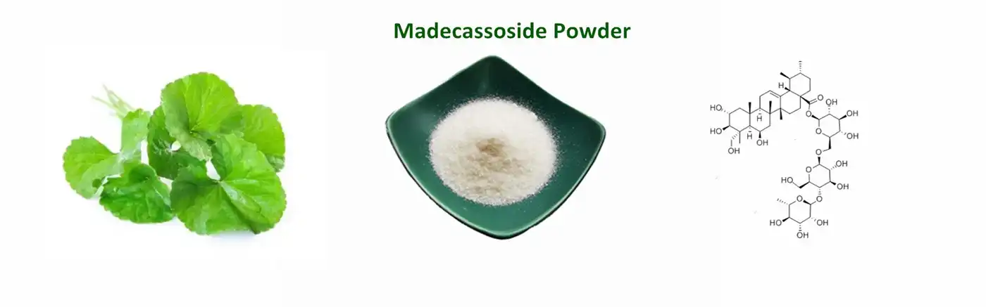 Madecassoside Powder Madecassoside Powder