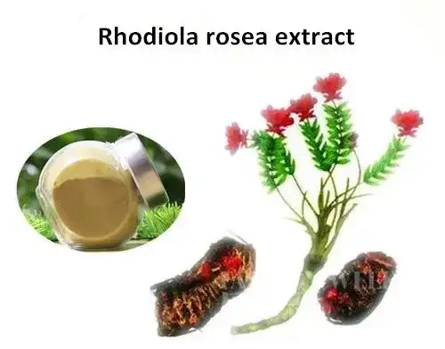 Rhodiola rosea extract Rhodiola rosea extract